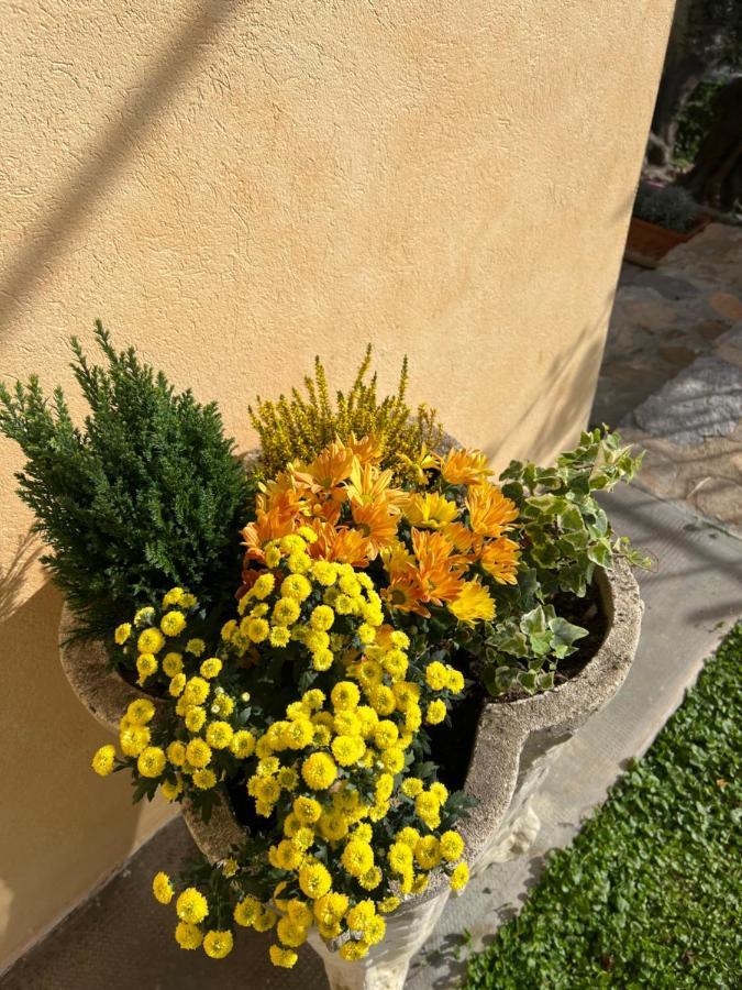 Agriturismo Le Merline Arnasco Экстерьер фото